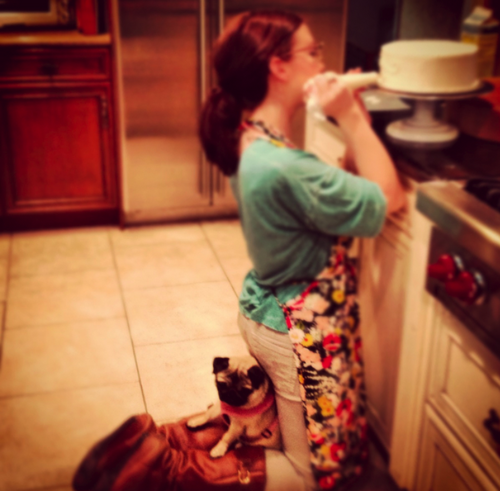 Pastry Chef/Cake Designer of katie larkin cakes & confections