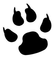 PAWS Pet Sitting - Stratford - Providing professional and experienced pet related services for the conscientious pet owner.