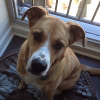 lillith (@lillygirl007) 's Twitter Profile