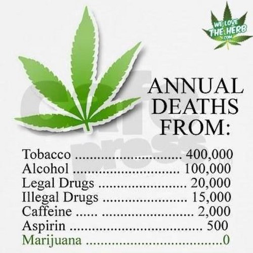 M_D_A_C_O_B_4's profile picture. SMOKE WEED ALL DAY  C.O.B GUNIT SHADY R OR NOTHIN 