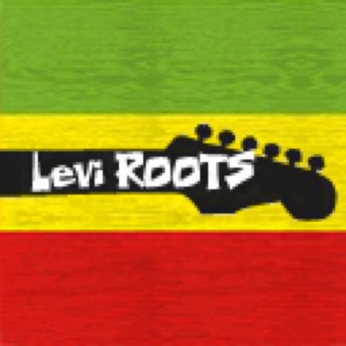 Official Twitter feed for Levi Roots. The Guitar playing, Dragon slaying 
Reggae Reggae Sauce creator.