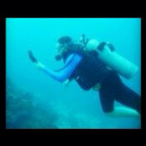 pgamoranto's profile picture. 