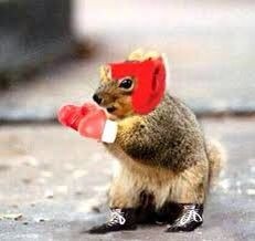 rafitasanchezz's profile picture. Zaragocista de corazon