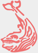 tWalvis's profile picture. Kunstwinkel 't Walvis in Schiedam is galerie en kunstwinkel in één. Wij verkopen en exposeren schilderijen, keramiek, illustraties, grafiek, sieraden, glaskunst