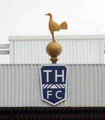 SpursNews_Talk's profile picture. 