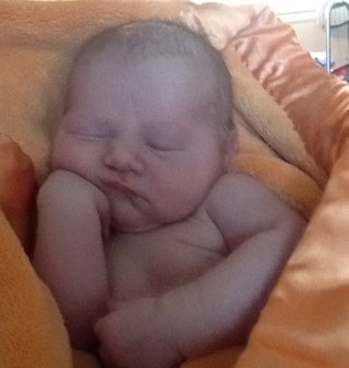 JodiForlenza's profile picture. 