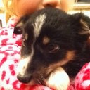 Ella Pugh - @PughElla - Twitter