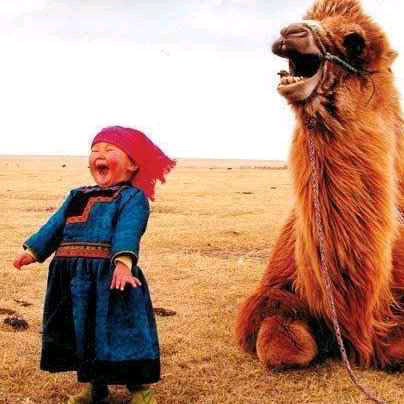 New account, here to make you smile at least once in your day, if you like photos, clips and jokes to share follow me.