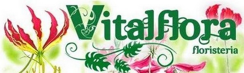 vitalfloraweb's profile picture. Floristería online de Valencia.Visita nuestra web y podrás hacer tus compras cómodamente y desde casa. Hazte Fan Facebook http://t.co/opV9E6lQpU