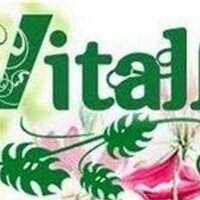 Flores Vitalflora(@vitalfloraweb) 's Twitter Profile Photo