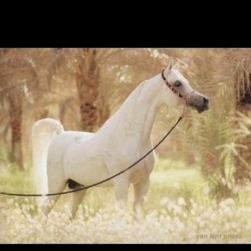 Sexy111112's profile picture. 