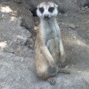 Ben Roe - @benroe92 - Twitter