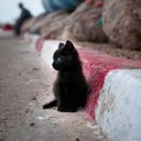 Ray Cintron - @RayCTron - Twitter