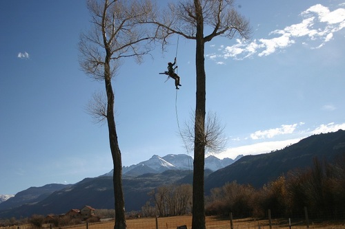 Arborist Services is a dedicated group of ISA certified arborists. We climb all the trees we work in. We love trees and maintain the largest trees in the region