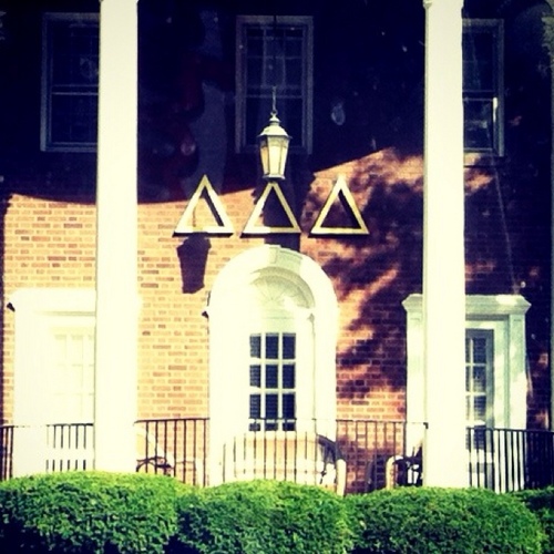 UIowaTriDelta's profile picture. The Phi Chapter of Delta Delta Delta at the University of Iowa. Let us steadfastly love one another