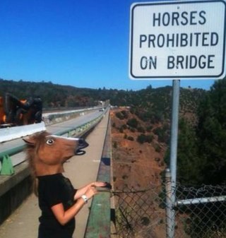 siprentice's profile picture. Freelance TV Drama Editor, working with the big UK broadcasters. I also play the drums.