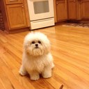 Paul Bianco - @Lax4lifePie - Twitter