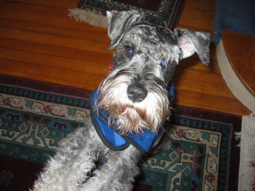Ottosworld's profile picture. Rationalist.  Camus fan.  Former Hockey fan (won't watch another game until headshots are an automatic suspension).  Not necessarily in that order.