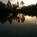 todd bailey - @rockcarry1911 - Twitter