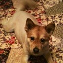 Lori Kramer - @KramerLori - Twitter