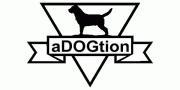 A place for dog lovers who support the dog adoption campaign in Indonesia and are against dog abuse. #LetsAdopt #AgainstDogAbuse