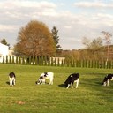 Carmella Hoffman - @CarmHoff - Twitter