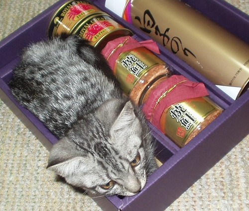 関東に住む普通の猫好き。アイコンは蟹缶と鮭ほぐしと猫の詰め合わせ。フォロー・リムーブはお気軽に。