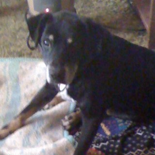 soundman1435's profile picture. 