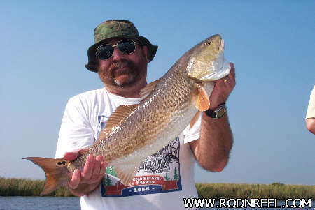 Spacedust1955's profile picture. 