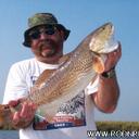 Dwayne Littrell - @Spacedust1955 - Twitter