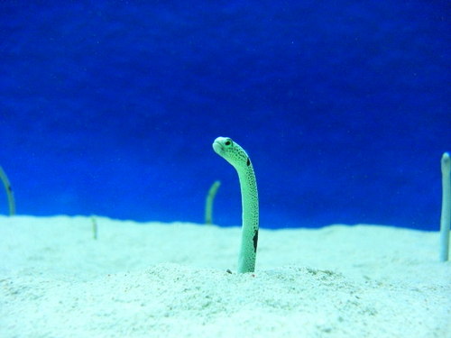 MayumiPixta's profile picture. PIXTA様で写真クリエイター登録してます。ポツポツ更新できたらいいなぁ。