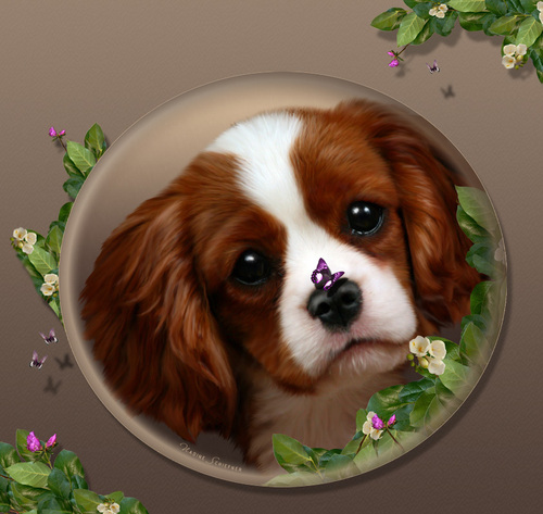 SweeetSecret's profile picture. 