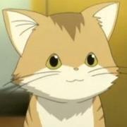 Joe Neko