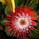 Rochelle Barton - @arbei - Twitter