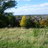 E_Dulwich's profile image