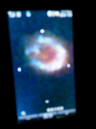 れいしょう Kizunanoito Twitter