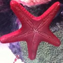 Hailey Fizzy - @Hailey_Malone_ - Twitter