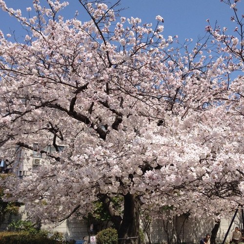 なんとかなる。