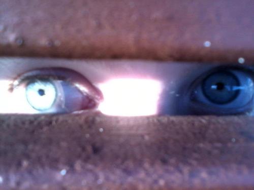 AleashaHoran's profile picture. I LOVE ONE DIRECTION !!!!!!!!!!!!!!!! ;) 3