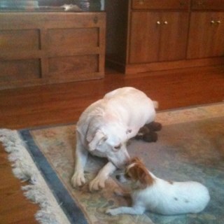 bculp3's profile picture. 