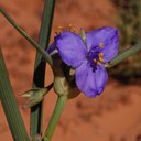 Wayne Padgett - @EcoWayne - Twitter