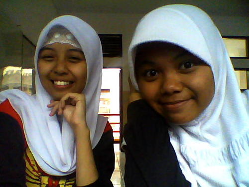 sercsri's profile picture. 