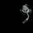 djuplifter's profile image