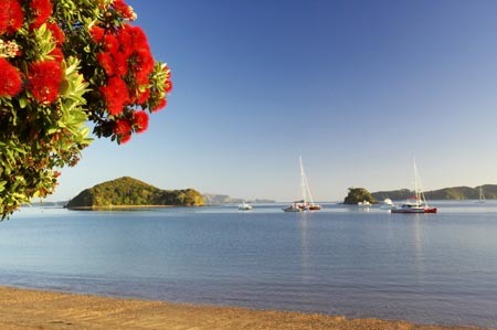 Central in Paihia,  self-contained accommodation in the beautiful  Bay of Islands NorthlandNZ