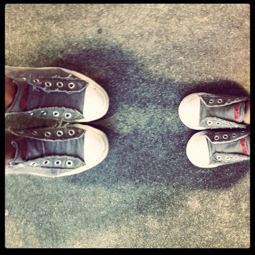 lilychanphoto's profile picture. 