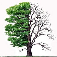 CountryWord.com (@countrywordcom) Twitter profile photo