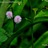 BijoymeethalL's profile image