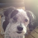 Leanne Wills - @SpunkyWills - Twitter