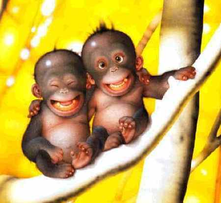 plastinka1972's profile picture. неучь