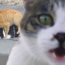 alan ahern - @alanahern81 - Twitter